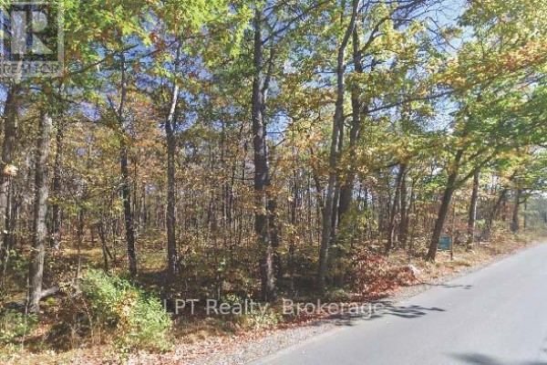 Dense trees with autumn foliage line a paved road bordering the property. - Pt 3 Lot 8 Marble Point Road, Marmora And Lake