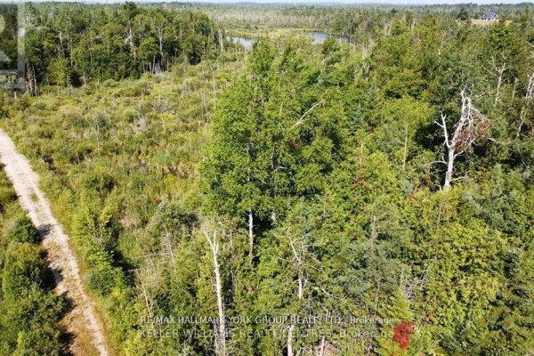 Pt Lot 80 Grey Road, Grey Highlands, ON N0C1M0 Photo 4