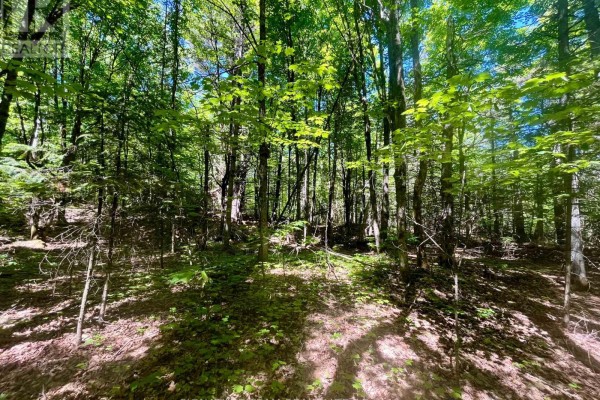 Pt Lt's 5 & 6 Foymount Road, Bonnechere Valley, ON K0J1W0 Photo 4