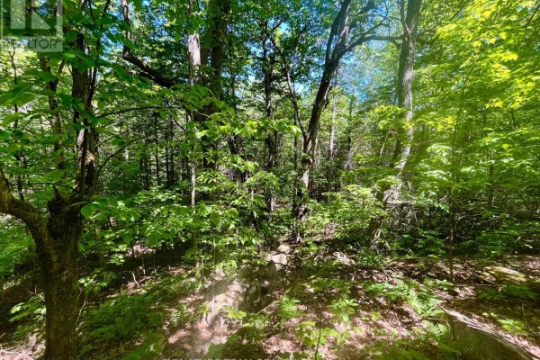 Pt Lt's 5 & 6 Foymount Road, Bonnechere Valley, ON K0J1W0 Photo 5
