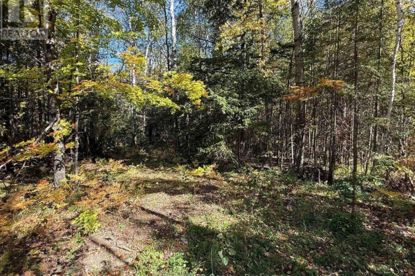 Pt Lt 1-2 Concession 3, Georgian Bluffs, ON N4K5N6 Photo 2