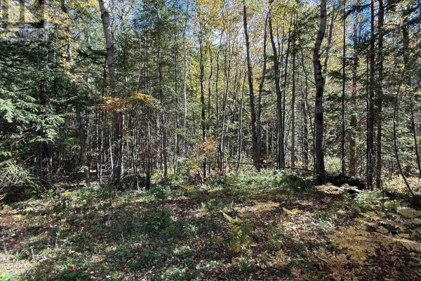 Pt Lt 1-2 Concession 3, Georgian Bluffs, ON N4K5N6 Photo 3