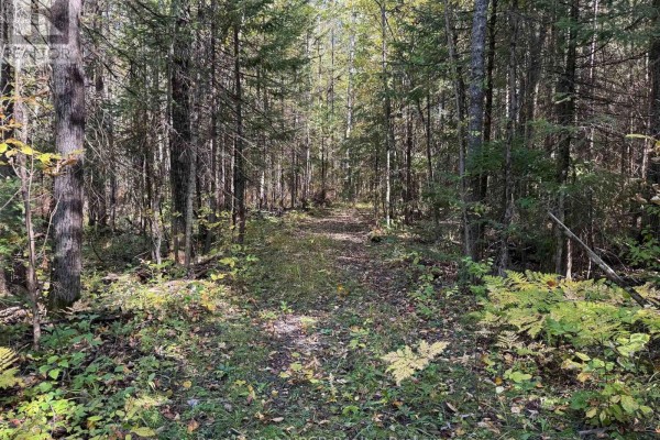 Pt Lt 1-2 Concession 3, Georgian Bluffs, ON N4K5N6 Photo 4
