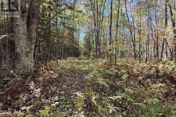 Pt Lt 1-2 Concession 3, Georgian Bluffs, ON N4K5N6 Photo 5