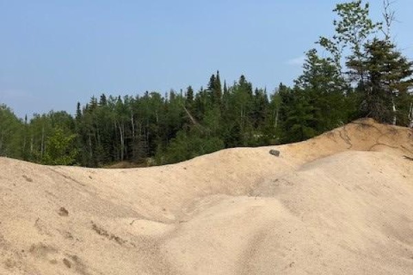 Lakeshore with calm water, tall green grass, and a dense line of evergreen trees. - Pt Lt 11, Concession 4 Birchill Road E, Cochrane