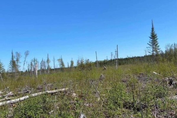 Pt Lt 11 Con 6 Fournier Trans Canada Highway 11 Highway, Cochrane, ON, photo 2