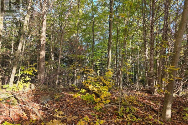 Pt Lt 13 Con 9 35 Highway, Minden Hills, ON K0M2K0 Photo 2