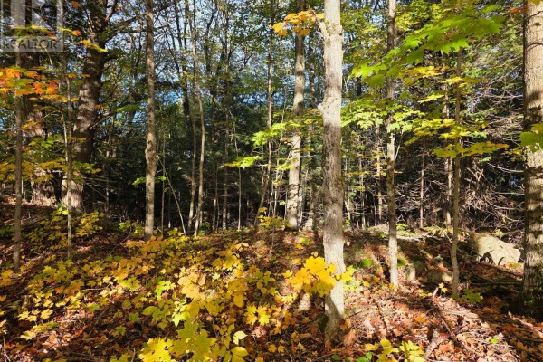 Pt Lt 13 Con 9 35 Highway, Minden Hills, ON K0M2K0 Photo 3