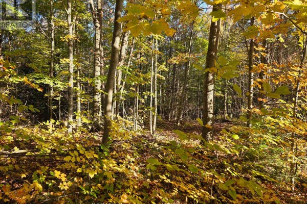 Pt Lt 13 Con 9 35 Highway, Minden Hills, ON K0M2K0 Photo 4