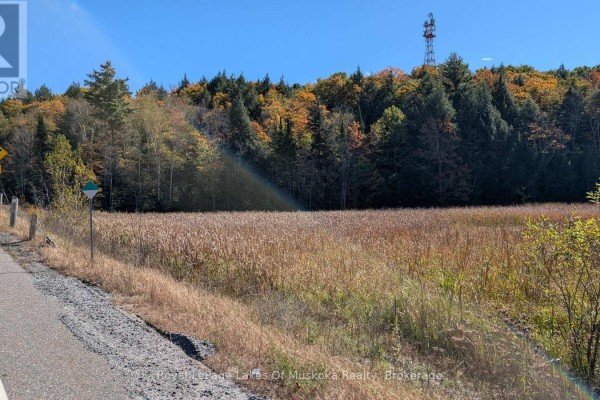 Pt Lt 14 Con B Highway 141 Highway, Muskoka Lakes, ON P0B1M0 Photo 2