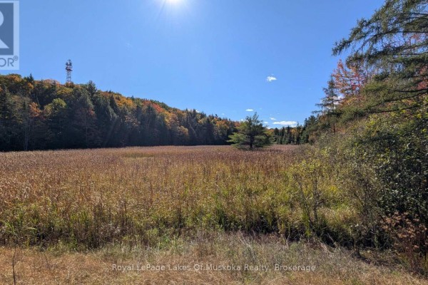 Pt Lt 14 Con B Highway 141 Highway, Muskoka Lakes, ON P0B1M0 Photo 3