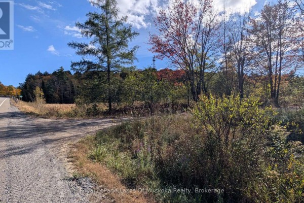 Pt Lt 14 Con B Highway 141 Highway, Muskoka Lakes, ON P0B1M0 Photo 4