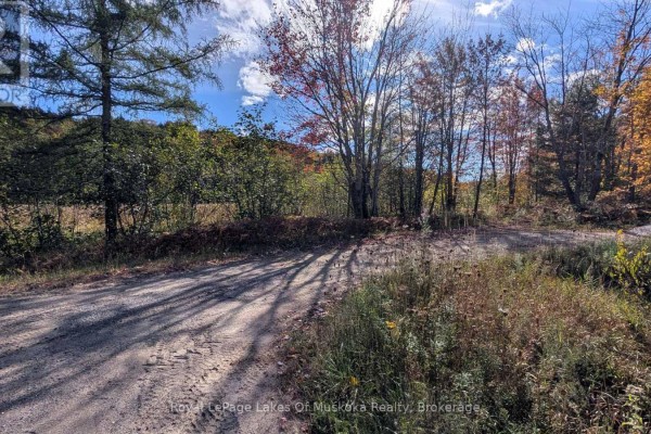 Pt Lt 14 Con B Highway 141 Highway, Muskoka Lakes, ON P0B1M0 Photo 5