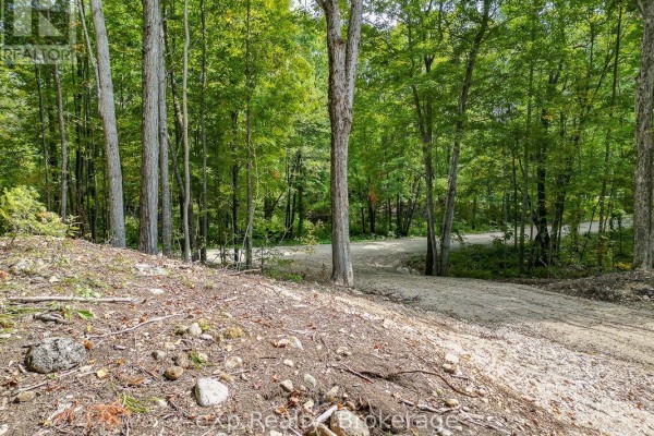 Pt Lt 15 Baseline Road, West Grey, ON N0C1H0 Photo 5