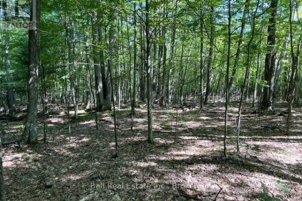 Pt Lt 15 Con 13 Alton Lane, Minden Hills, ON K0M2K0 Photo 4