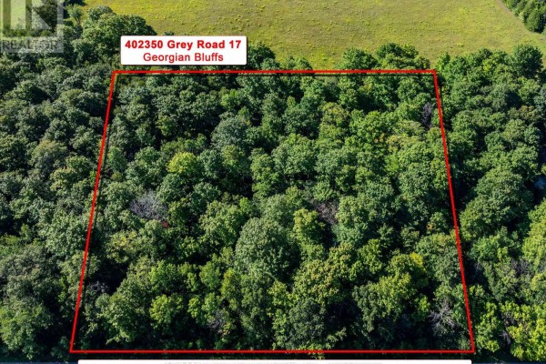 Pt Lt 16 Concession 19 Street, Georgian Bluffs, ON N0H2T0 Photo 4