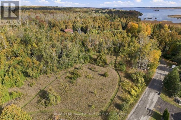 Pt Lt 17 Southside Road, Kawartha Lakes, ON, photo 3