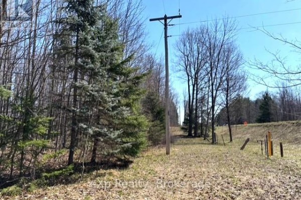 Pt Lt 21 Grey Road 12 Road, West Grey, ON, photo 3