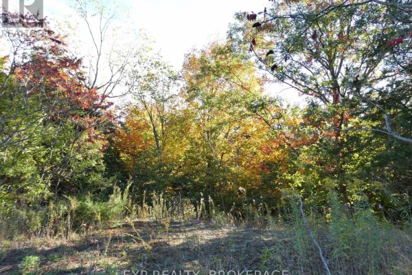 Pt Lt 23 Con 7 Pebble Lane S, Frontenac, ON K0H2L0 Photo 4