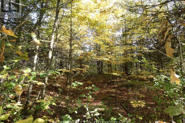 Pt Lt 23 Con 7 Pebble Lane S, Frontenac, ON K0H2L0 Photo 5
