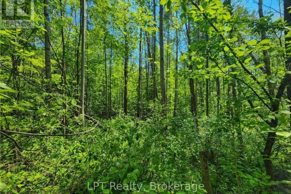 Pt Lt 23 Maple Drive, Northern Bruce Peninsula, ON N0H1Z0 Photo 4
