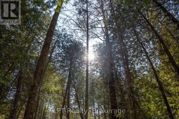 Aerial perspective of 9-acre lot near West Little Lake, featuring dense forest and winter scenery. - Pt Lt 24 Spry Shore Road, Northern Bruce Peninsula