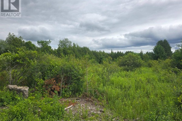 Pt Lt 26 Con 8  Pr116457 Buckwheat Road, Edwardsburgh/cardinal, ON K0E1X0 Photo 5
