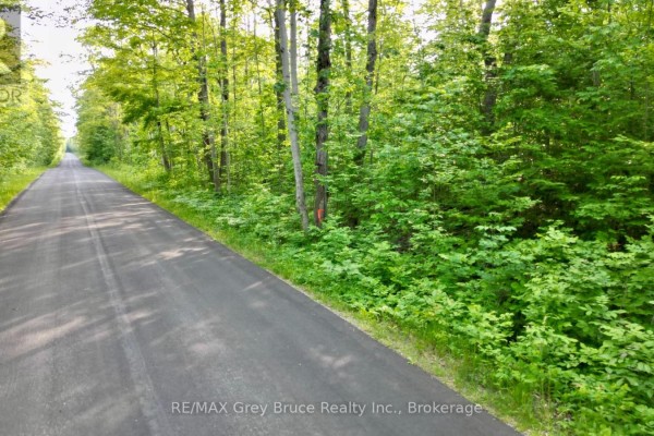 Pt Lt 27 Con 1 Ebr Pt 2 Barney's Boulevard, Northern Bruce Peninsula, ON N0H1Z0 Photo 3