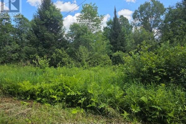 Pt Lt 27 Con 2 Grand Desert Road, Bonfield, ON P0H2E0 Photo 2