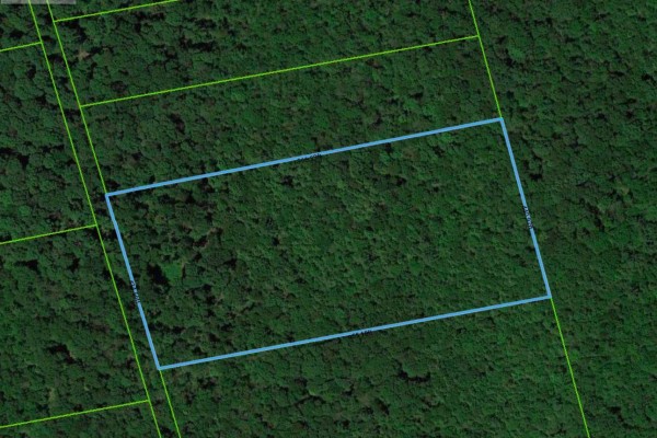 Pt Lt 3 Con 5, Brant, ON, photo 3