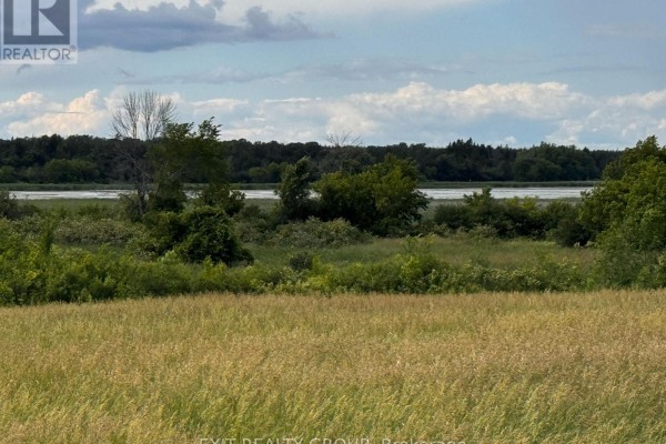 Pt Lt 31 County Rd 15, Prince Edward County, ON K0K1W0 Photo 5