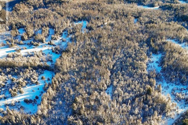 Pt Lt 32 Concession 6, North Kawartha, ON K0L1A0 Photo 4