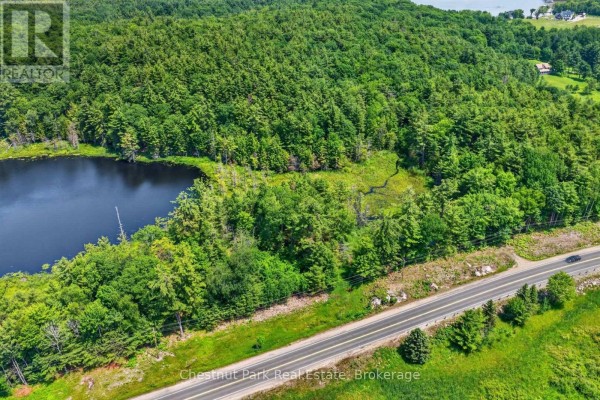 Overhead view of a dark lake surrounded by snow-covered trees and marshy shoreline. - Pt Lt 33 Con 2 (pt 2) Muskoka 118 Road W, Muskoka Lakes
