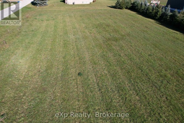Expansive green field bordered by a dense line of coniferous trees and a large deciduous tree. - Pt Lt 34 Pl 282 Part 1 Doris Drive, South Bruce