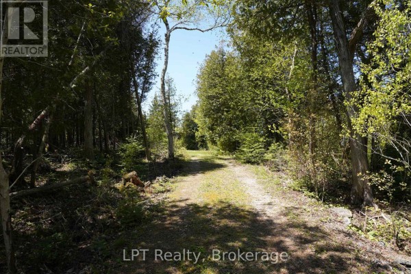Pt Lt 36 Walter Charman Drive, Northern Bruce Peninsula, ON N0H2M0 Photo 5