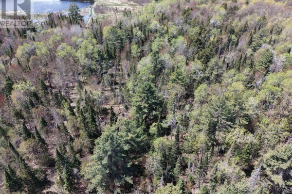Pt Lt 4-5 Con 13 Henry Road, Bracebridge), ON P1L1X2 Photo 3
