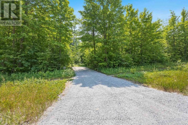 Pt Lt 40 Horseshoe Valley Road W, Oro Medonte, ON, photo 3
