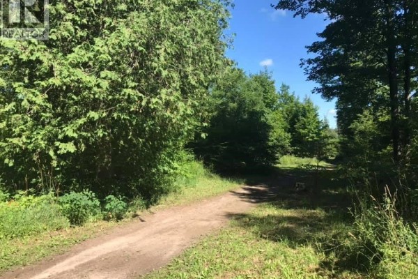 Pt Lt 48 Concession 3 Road, West Grey, ON, photo 2