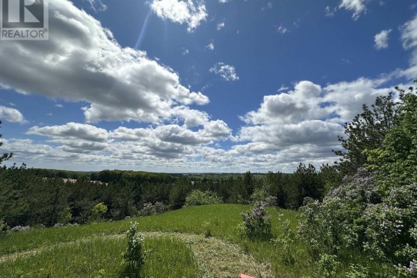 Dense pine forest with some clearings and sandy patches. - Pt Lt 6 Con 6 7th Line, Port Hope