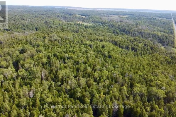 Pt Lt 6 Pike Bay Road, Northern Bruce Peninsula, ON N0H2T0 Photo 5