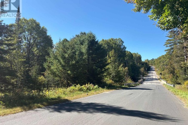 Pt Lt 7 Con 10 Pickerel & Jack Lake Road, Armour, ON P0A1C0 Photo 5