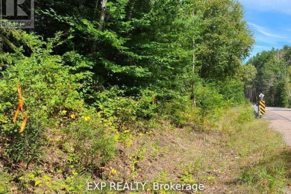 Pt Lt 8 Old Barry's Bay Road, Madawaska Valley, ON, photo 2