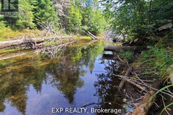 Pt Lt 8 Old Barry's Bay Road, Madawaska Valley, ON, photo 3