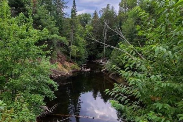 Pt Lt 8 Old Barry's Bay Road, Madawaska Valley, ON K0J1L0 Photo 5