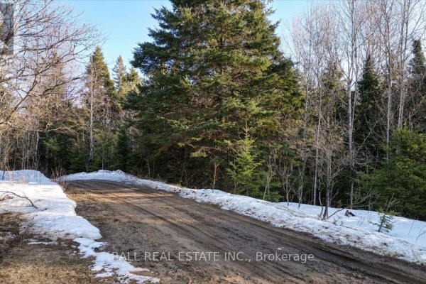 Pt Lt 9-10 Conc 7 Egan Court, Bancroft, ON K0L1C0 Photo 4