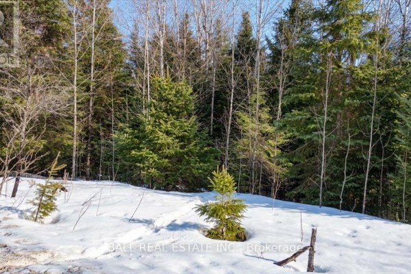 Pt Lt 9-10 Conc 7 Egan Court, Bancroft, ON K0L1C0 Photo 5