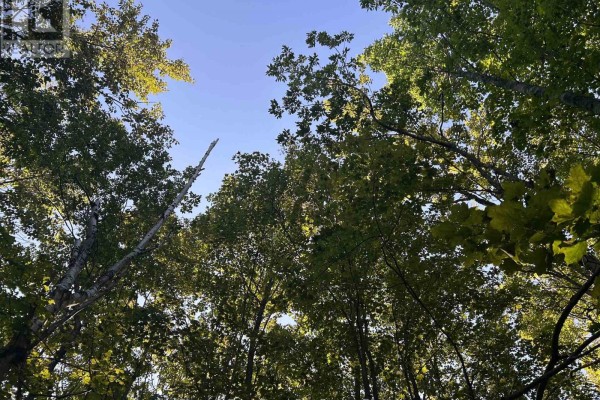 Pt Lt 9 Con 14 Ebr Pt 27 Concession, Northern Bruce Peninsula, ON, photo 3