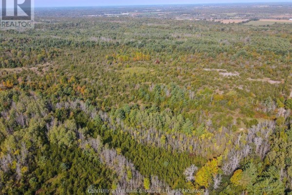 Pt Lt G Concession Gore, Loyalist, ON, photo 3