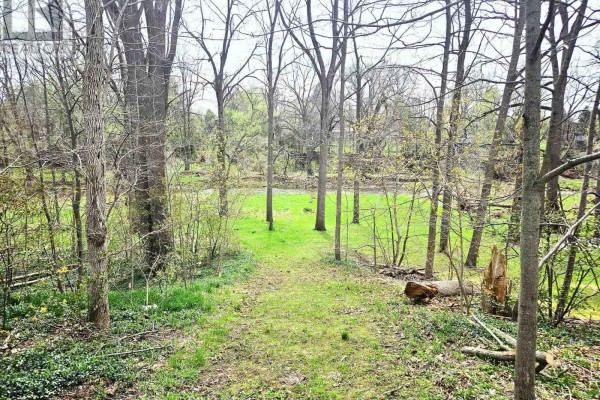 Pt Lt107 Victoria Terrace, Central Huron, ON N0M1L0 Photo 4