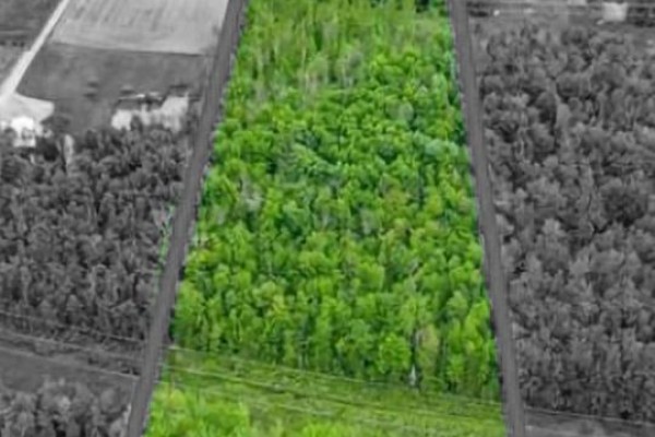 Pt Lt16 North Lunenburg Road W, South Stormont, ON, photo 2